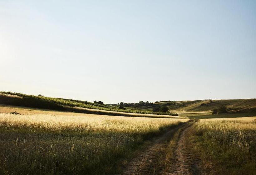 Bed and Breakfast Weingut & Gästezimmer Zillinger