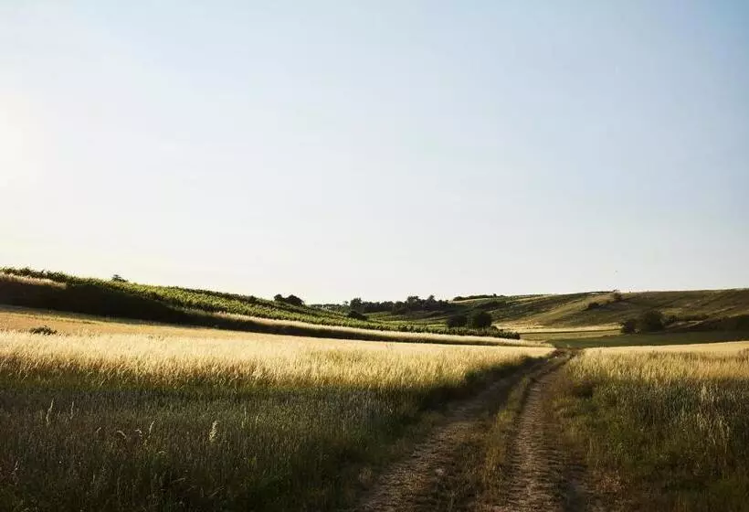 Aamiaismajoitus (B&B) Weingut & Gästezimmer Zillinger