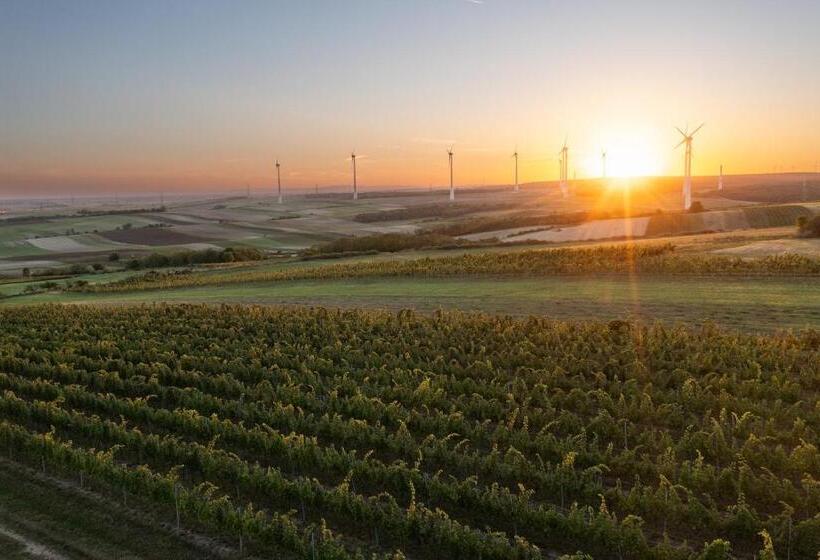 Bed and Breakfast Weingut & Gästezimmer Zillinger