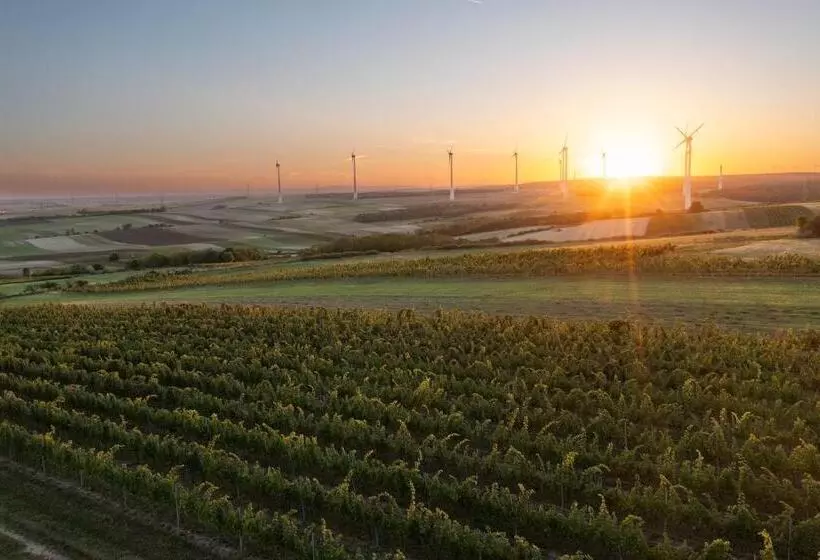 Aamiaismajoitus (B&B) Weingut & Gästezimmer Zillinger