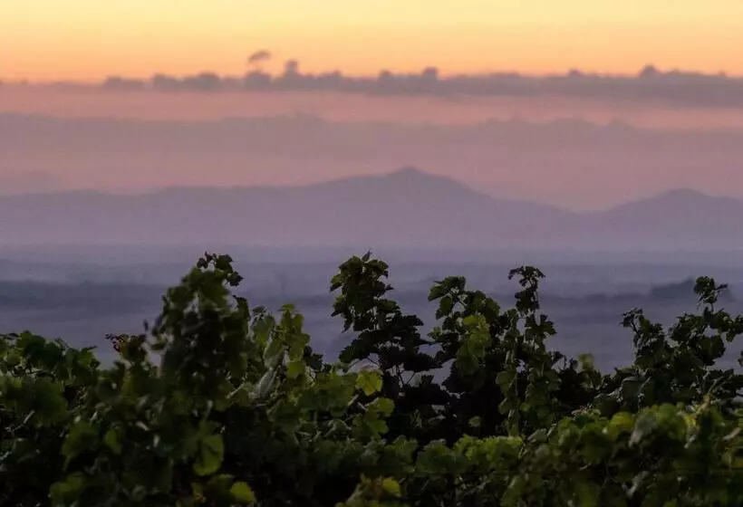 Aamiaismajoitus (B&B) Weingut & Gästezimmer Zillinger