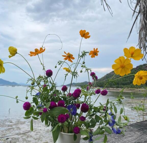 هتل کپسول Homestay Hoa Núi