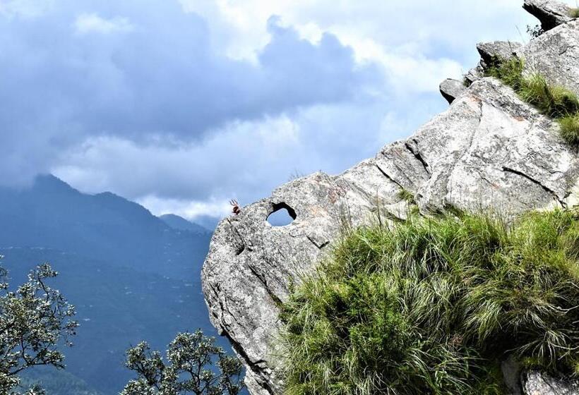 Hotel Himalayas By The Lake Hill   Mukteshwar