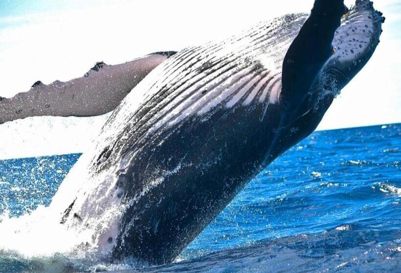 Пансион Beautiful Gate