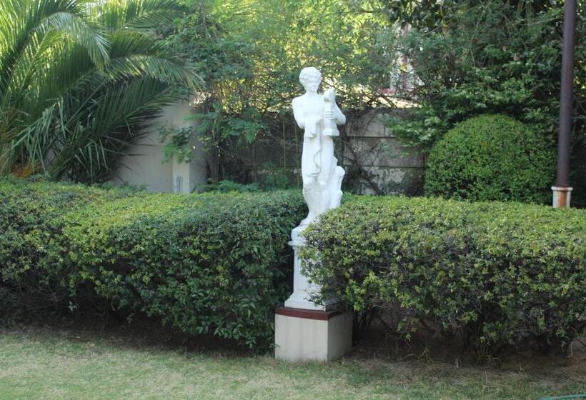 פנסיון Deluxe Queen Suite