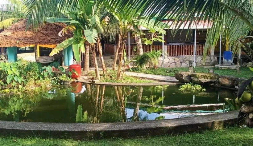 Majatalo Kabunohi Sorake