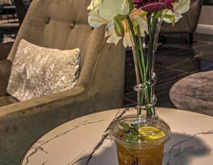 حيات الفرسان الفندقية