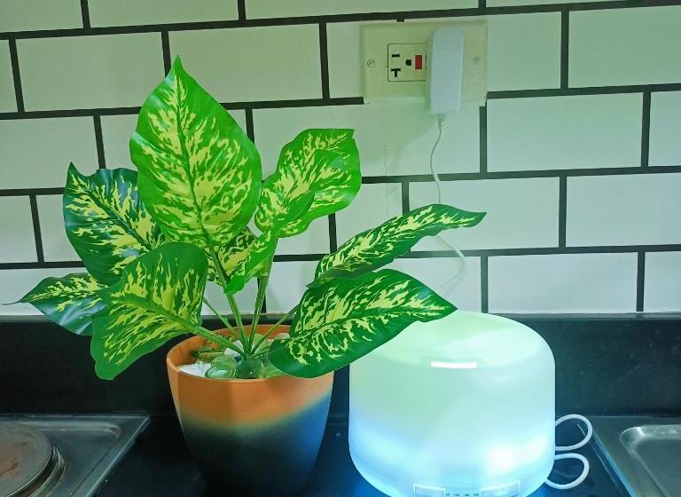 Chillax Condotel   Shore Residences