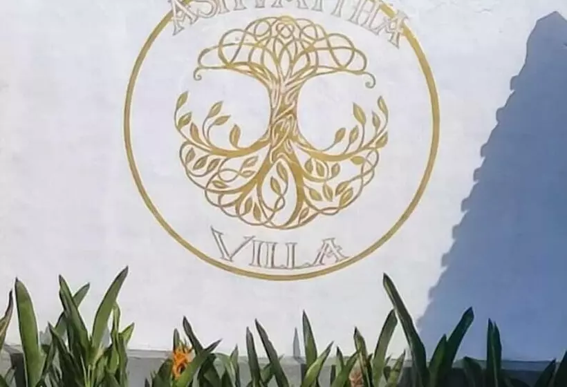 Hotelli Ashvattha Villa Canggu