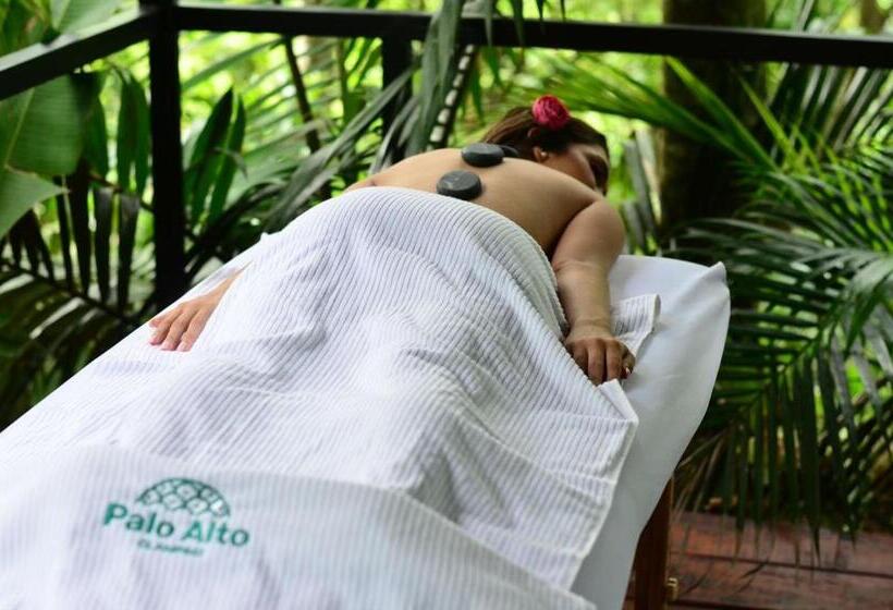 فندق Palo Alto Glamping