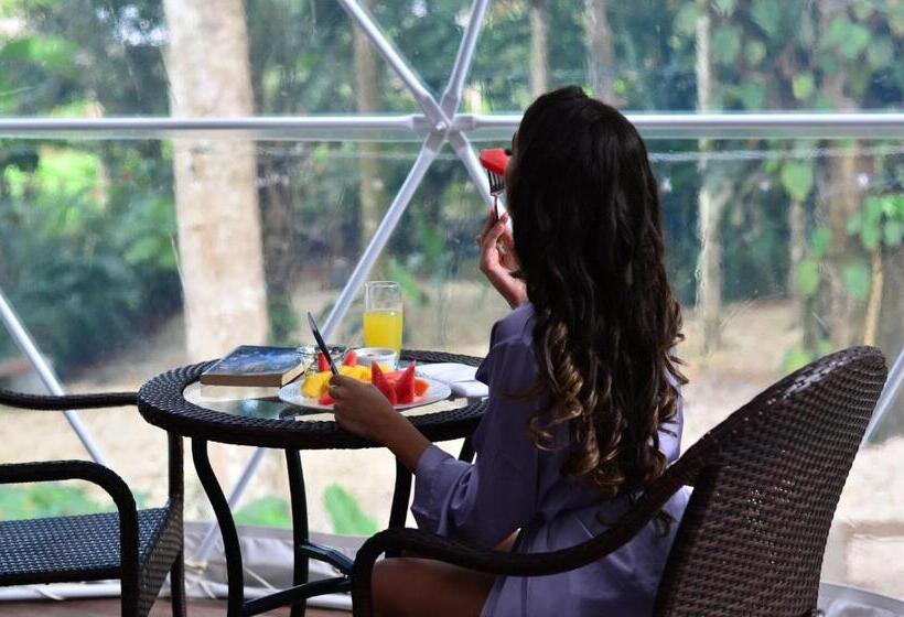 فندق Palo Alto Glamping