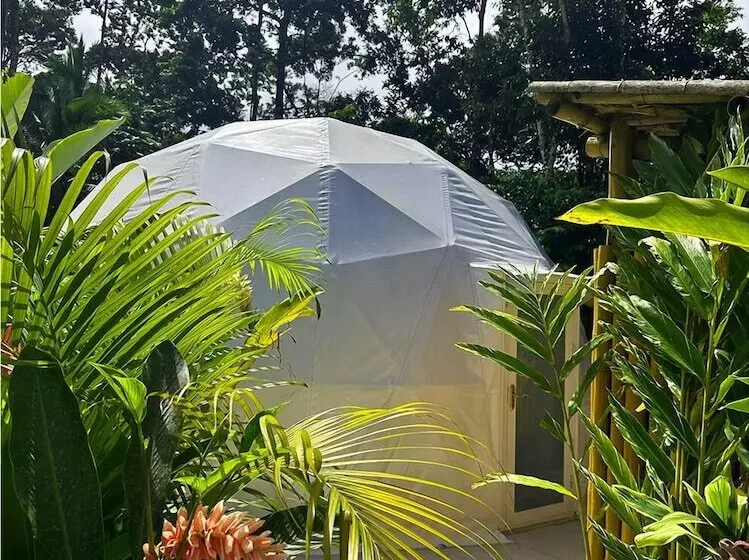 Hotelli Palo Alto Glamping
