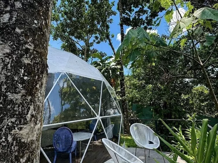 Hotelli Palo Alto Glamping