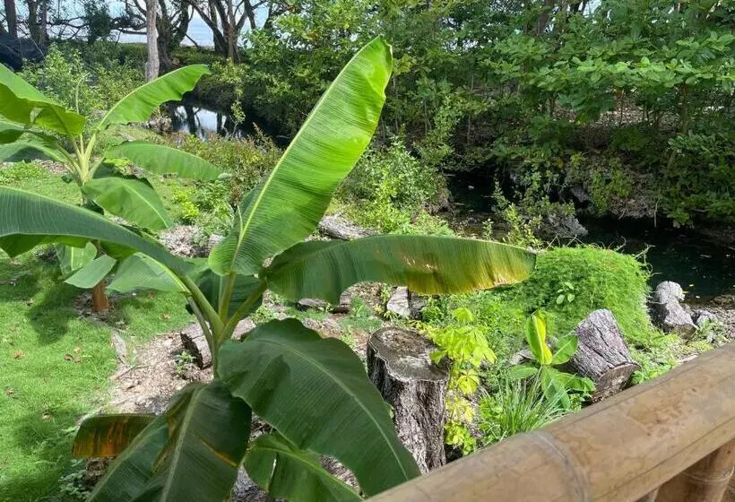 ペンション Casa Wago