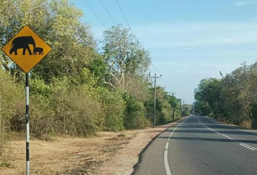 پانسیون Grand Okka