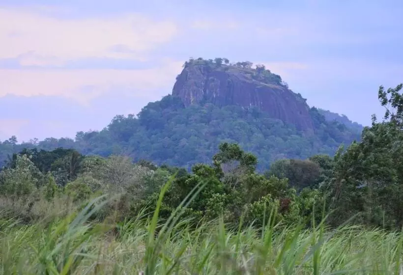 پانسیون Grand Okka