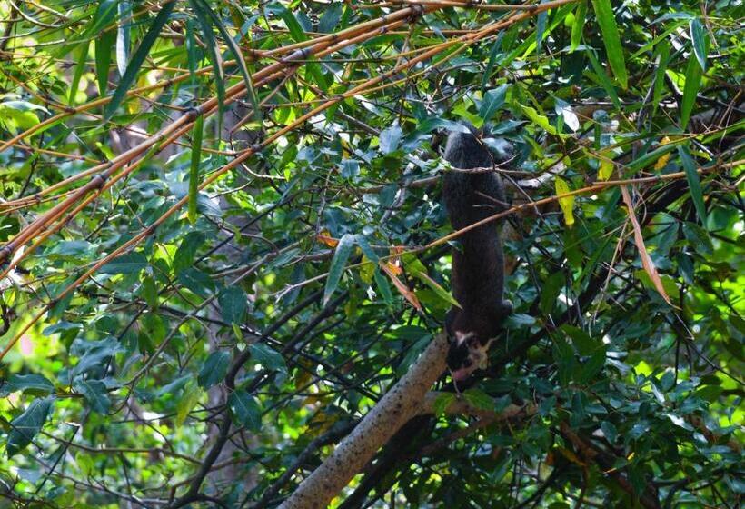 بنسيون Grand Okka