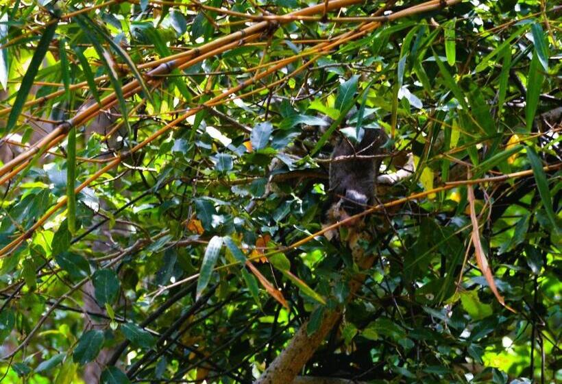 بنسيون Grand Okka