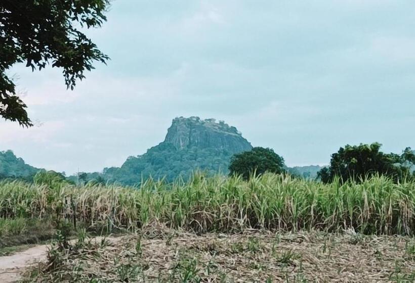 بنسيون Grand Okka