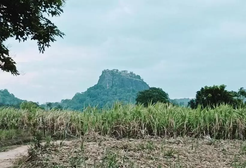 پانسیون Grand Okka