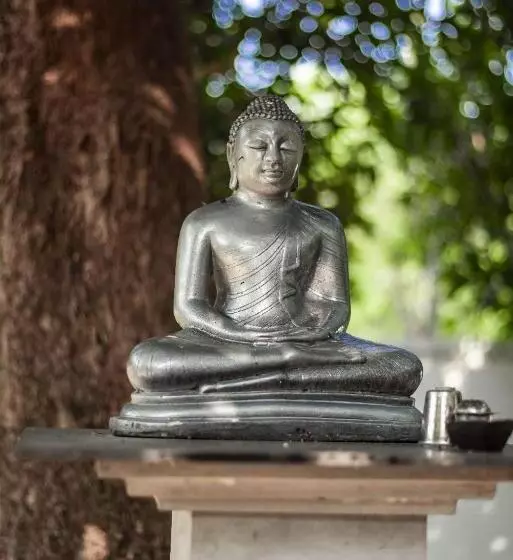 پانسیون Grand Okka