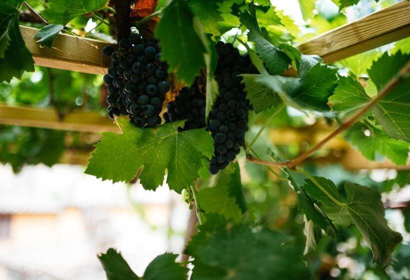 پانسیون Umbrian Concierge   La Casa Dei Pellari