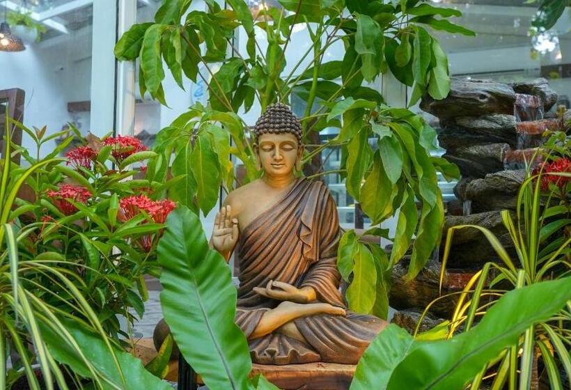 Resort Swimup   Suites With Private Pool , Vagator