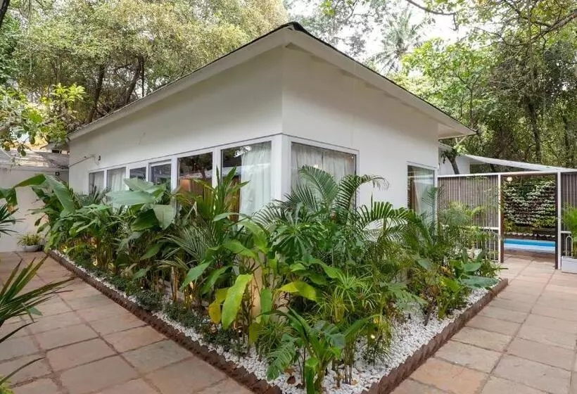 リゾートホテル Swimup   Suites With Private Pool , Vagator