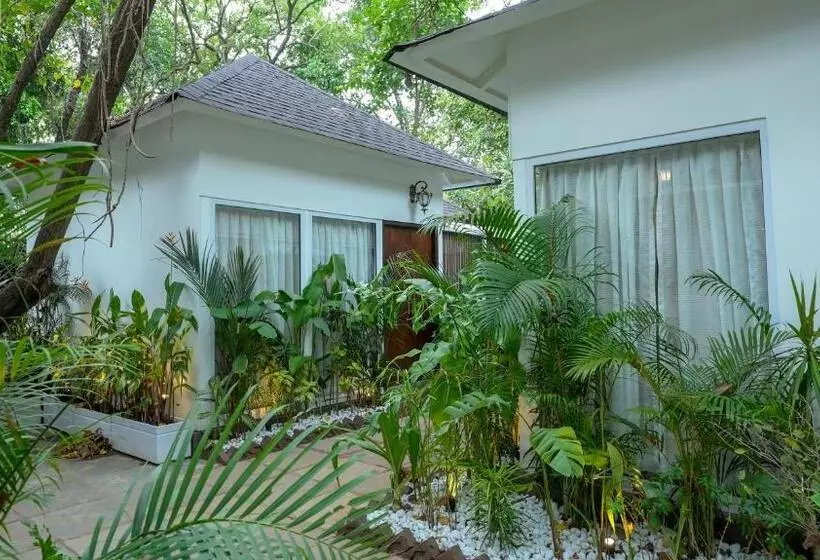 リゾートホテル Swimup   Suites With Private Pool , Vagator