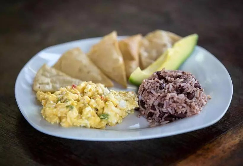 Solid Surf Camp Hostel Nicaragua