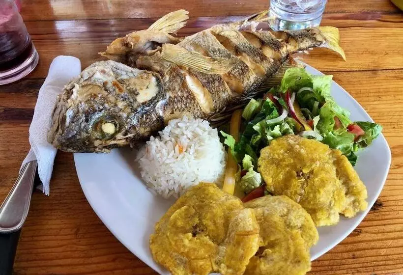 Solid Surf Camp Hostel Nicaragua