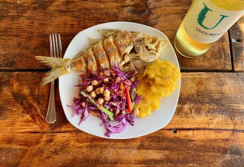 Solid Surf Camp Hostel Nicaragua