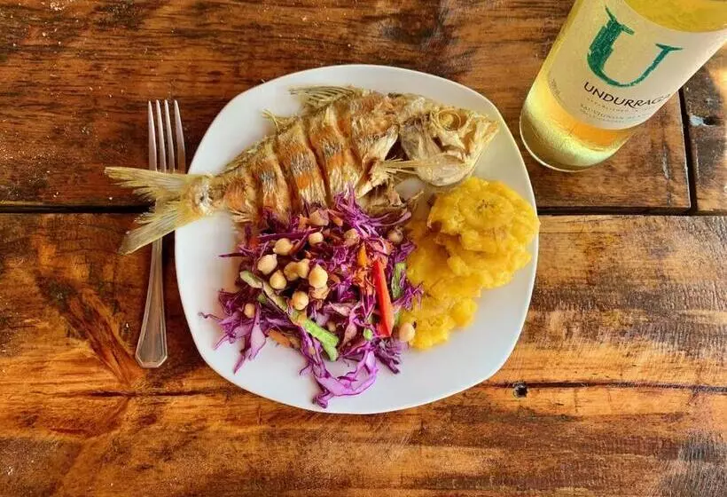 Solid Surf Camp Hostel Nicaragua