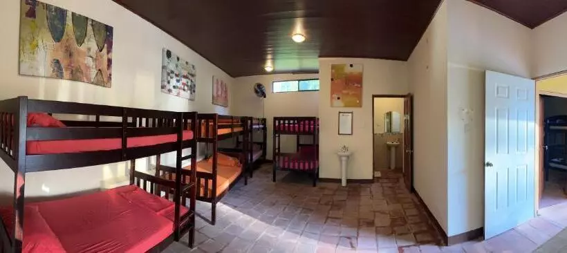 Solid Surf Camp Hostel Nicaragua