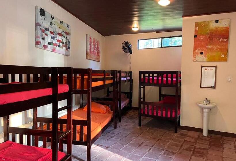 Solid Surf Camp Hostel Nicaragua