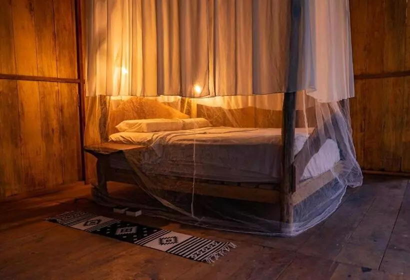 Aparthotel Ayahuaska For Solo Travelers