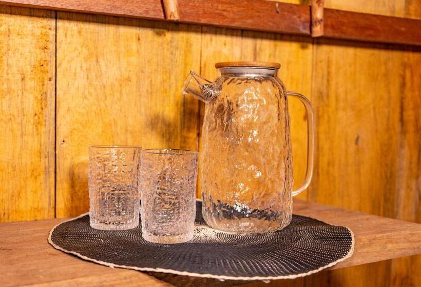 Aparthotel Ayahuaska For Solo Travelers