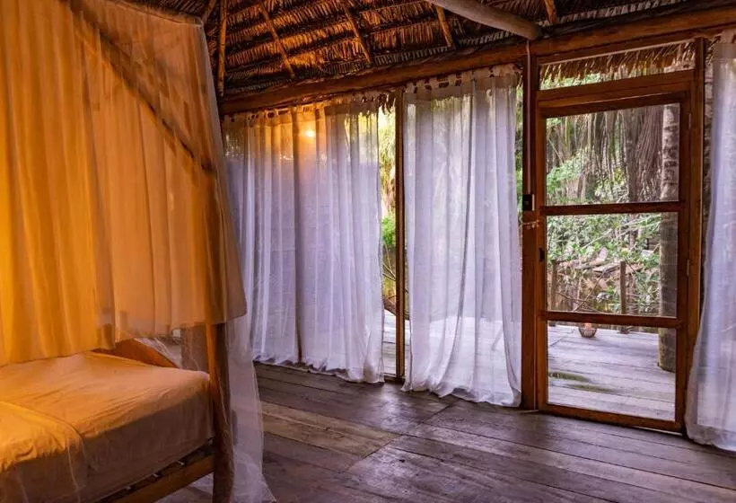 Aparthotel Ayahuaska For Solo Travelers
