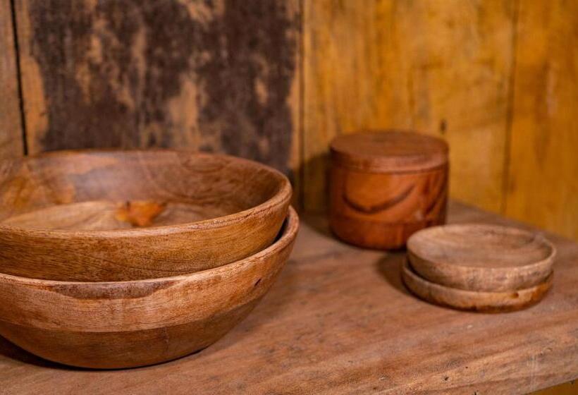 Aparthotel Ayahuaska For Solo Travelers