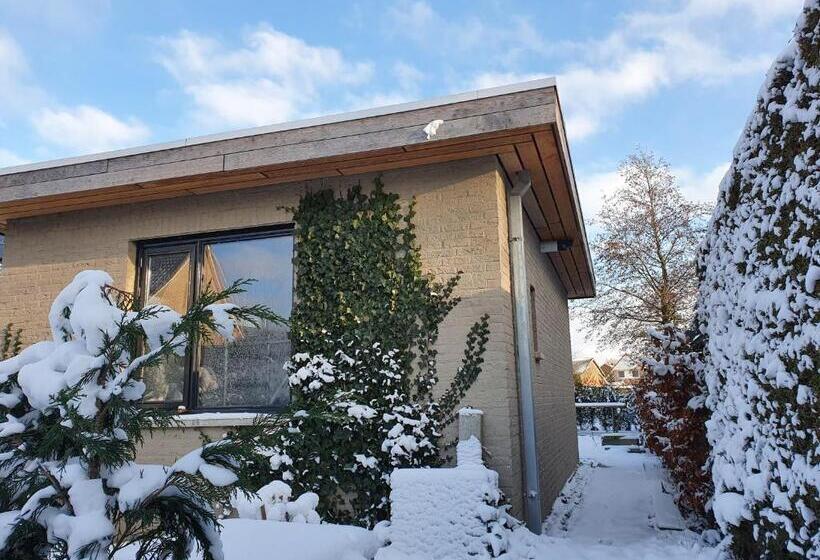 민박 Tiny House In De Boomgaard