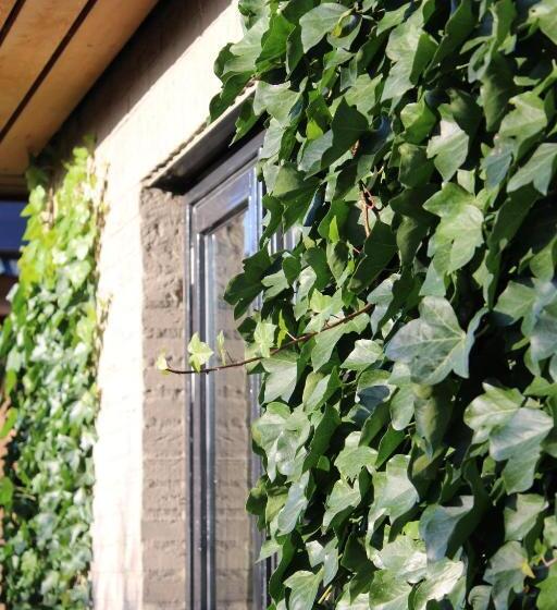 민박 Tiny House In De Boomgaard