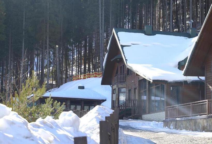 فندق Shale Anemona