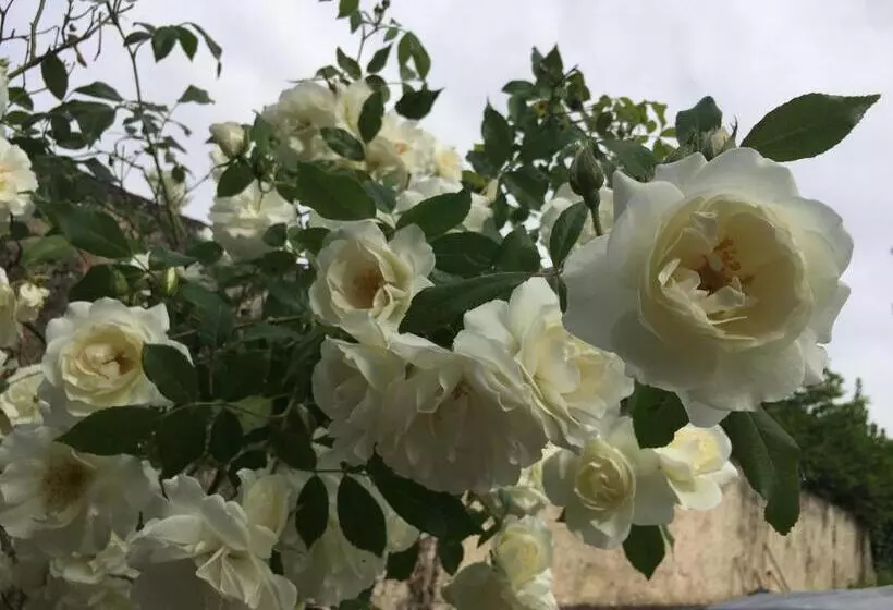 Majatalo Chambre D Hôte 1787 : Les Terrasses Des Pyrénées