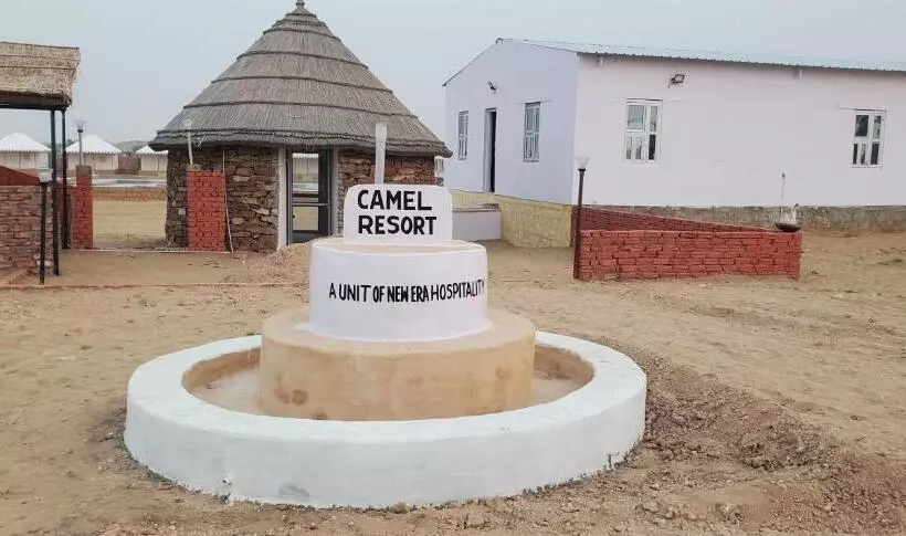 Camel Resort