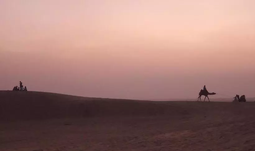 Camel Resort