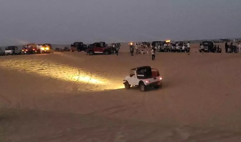 Camel Resort