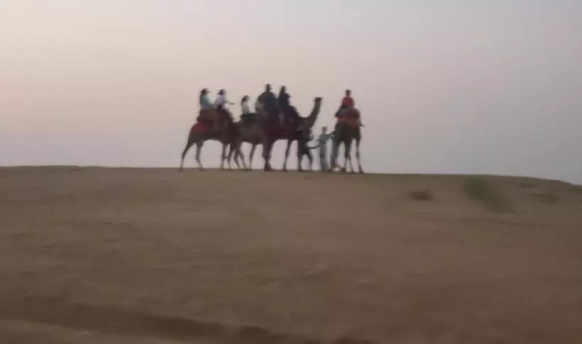 Camel Resort