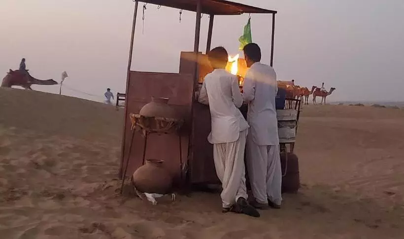 Camel Resort