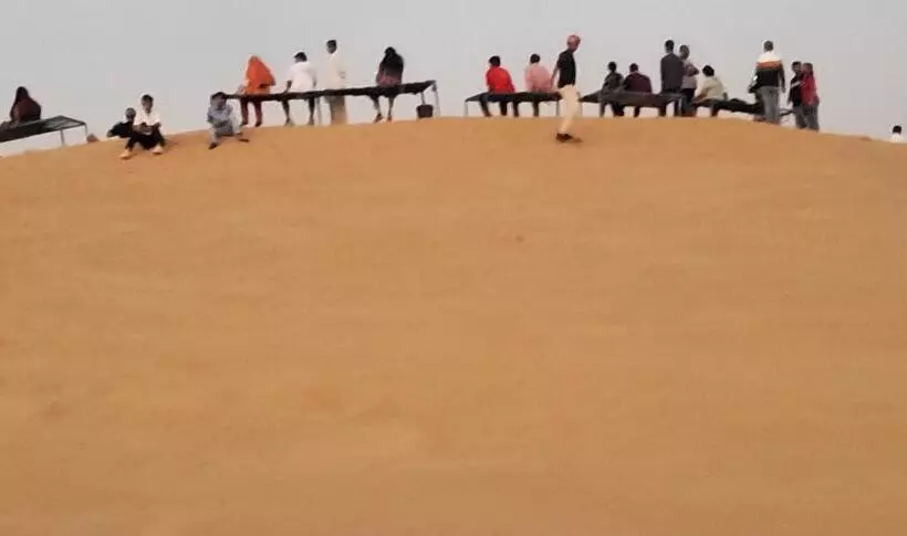 Camel Resort