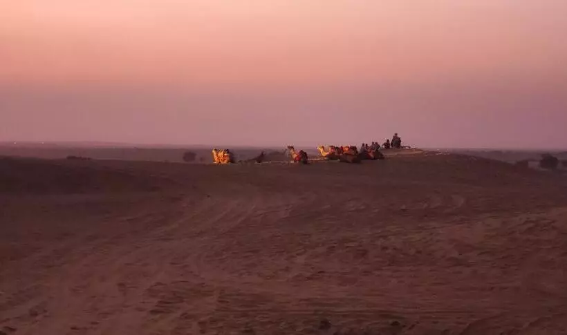 Camel Resort